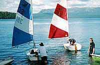 ‘Bug Sailors on Lake Tarawera NZ 